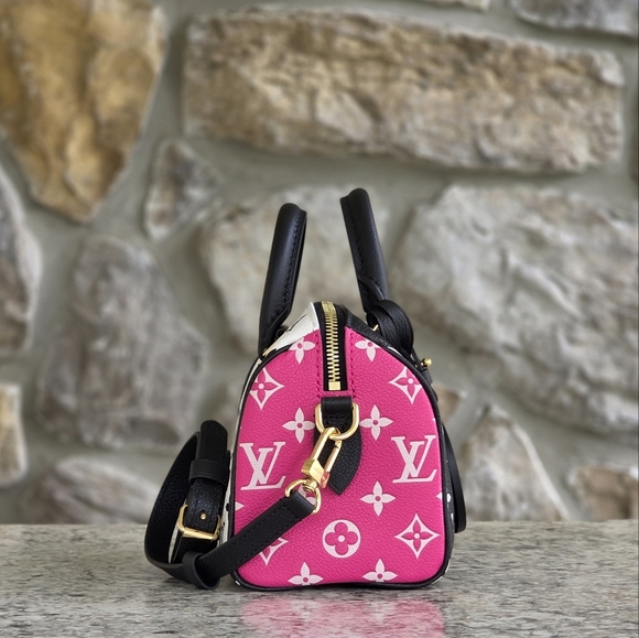 Louis Vuitton Speedy Bandouliere 20 Crossbody - Picture 3 of 12